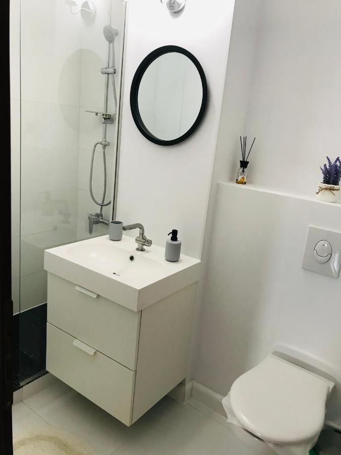 Scandinavian House Apartment Targu Jiu Luaran gambar